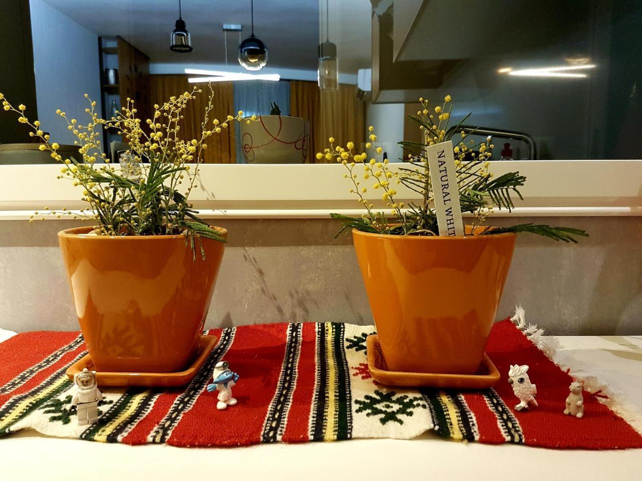 Central Luxury Apartment Tiranë Eksteriør bilde